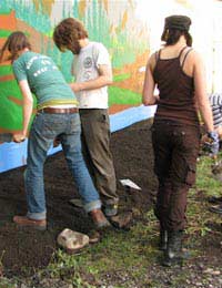Guerrilla Gardening Gardening Community